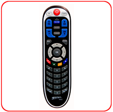 SP-36 OEM Radio Frequency (RF) Remote Control